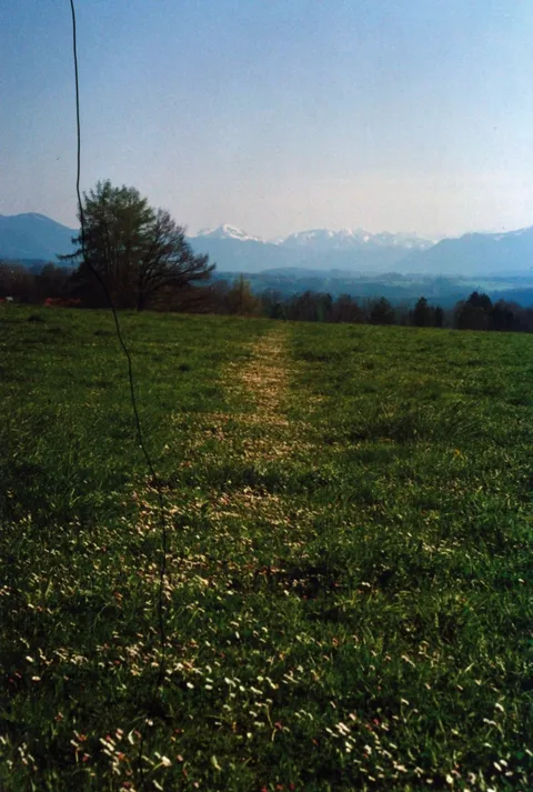 Flowerroad (2452023385)