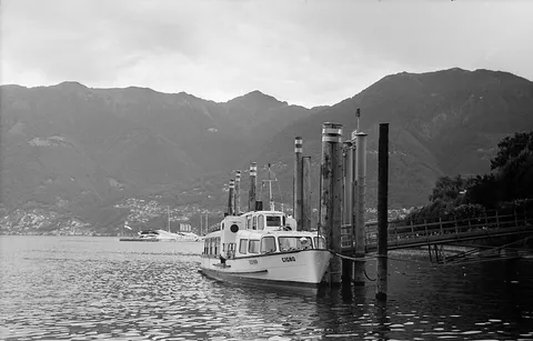 Cigno Locarno Agosto 2015