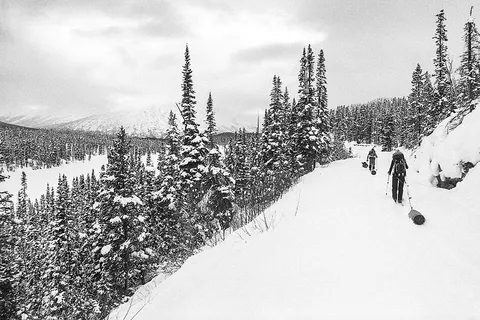 Skiing the WP&YR tracks, Chilkoot Trail, shot on Pentax K1000