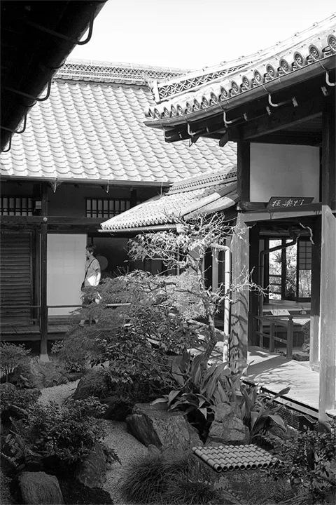 Toji Kanchiin, Kyoto, shot on Nikon FE