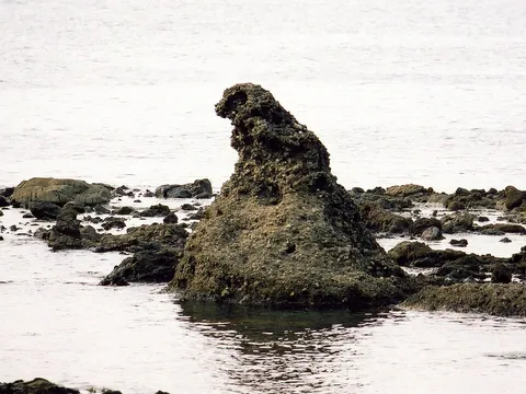 Godzilla-iwa