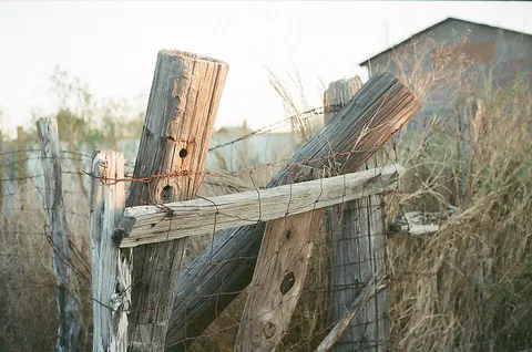 Old Fence Post