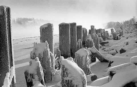 Wharf pilings, Whitehorse, shot on Pentax K1000