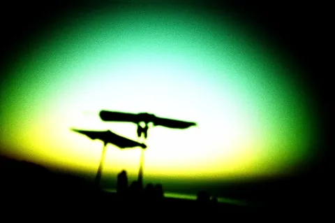 Lomo-lca sample