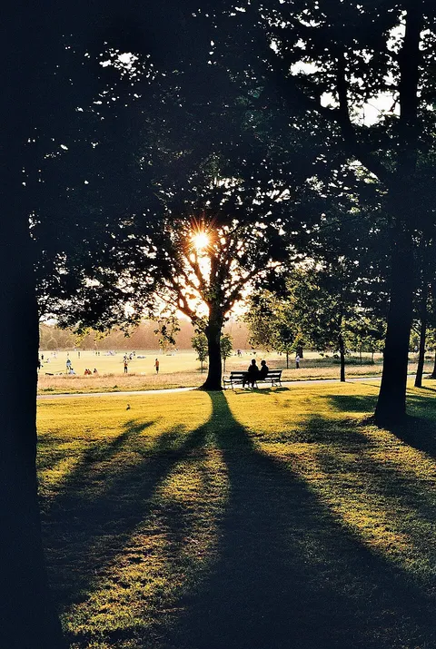 Regents Park, London UK 1