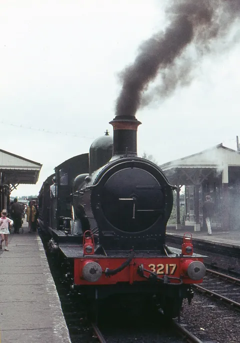 Dukedog 3217 4-4-0 on the Bluebell line