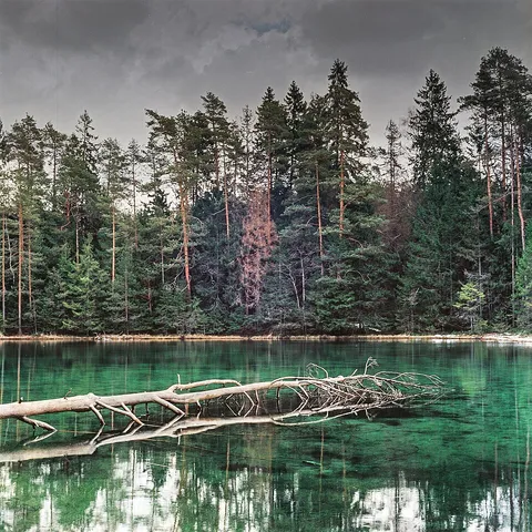 Äntu Sinijärv 2014