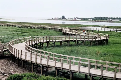 Boardwalk across the dunes, shot on Nikon FE