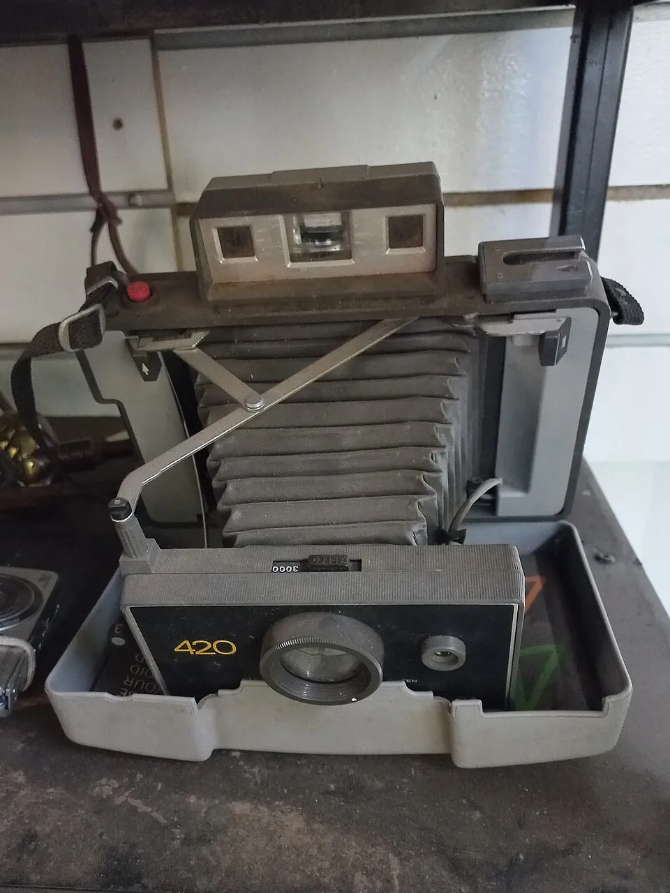 Polaroid Automatic 420