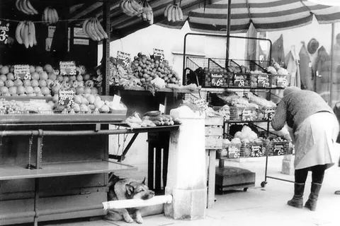 Michaelerplatz market stand