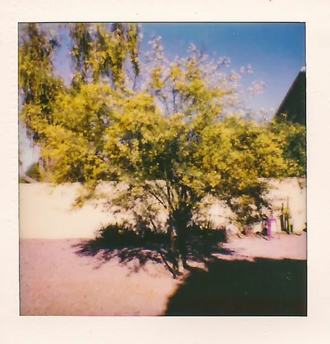 Polaroid Go!
