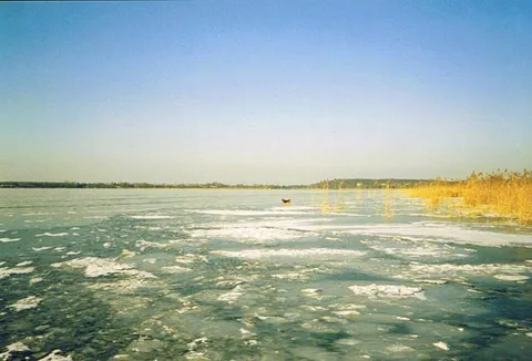 Winter on Schwielowsee
