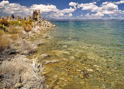 Lakeside of Mono Lake