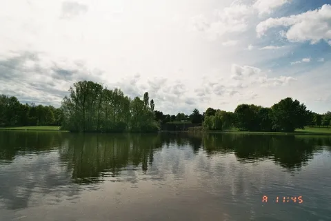 Rheinaue Bonn-2