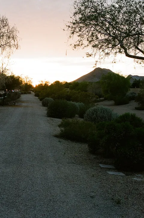 Sunset, Arizona, shot on Nikon FE