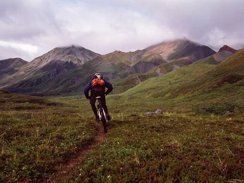 Cottonwood valley (7941790820)