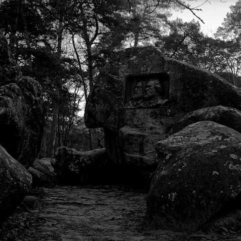 Jean-François Millet et Théodore Rousseau dans la Forêt de Fontainebleau